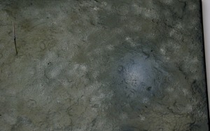 アポロ11号月着陸船　月面の塗装