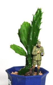 サボテンの鉢植えとドイツ兵