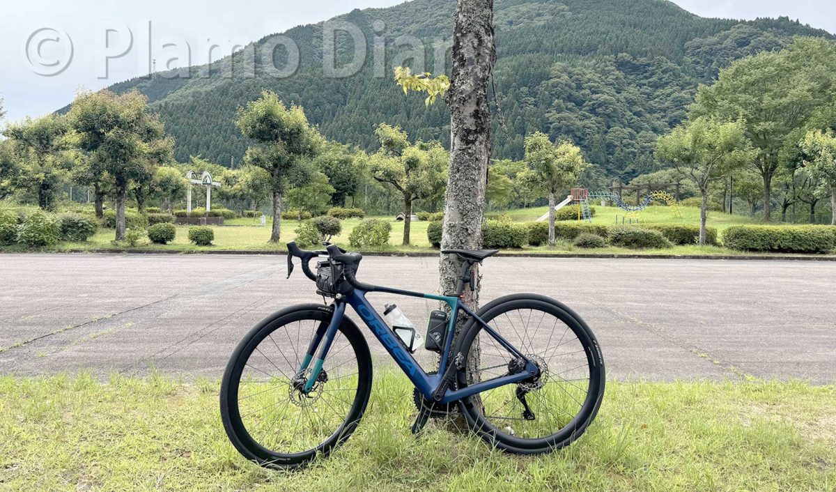 21世紀の森公園